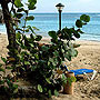 Beach - Dominican Republic