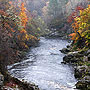 Falls of Shin - Scotland