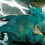 Horse Fountain - Chicago, IL