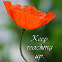 Reaching