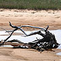 Herring Cove Beach - Provincetown, MA