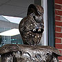 Neighborhood Watch - Roanoke, VA