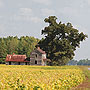 Suffolk, VA