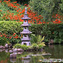 Japanese Tea Garden - San Francisco, CA