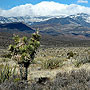 Nevada Landscape